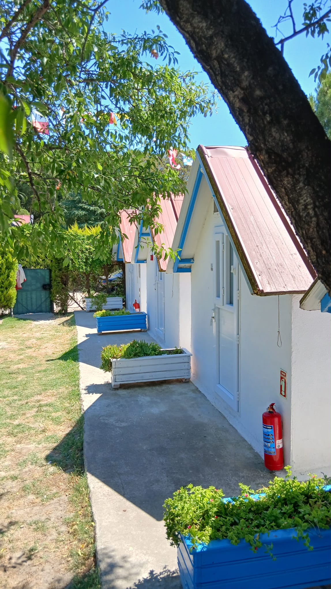 Image 12